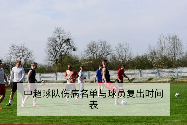 中超球队伤病名单与球员复出时间表